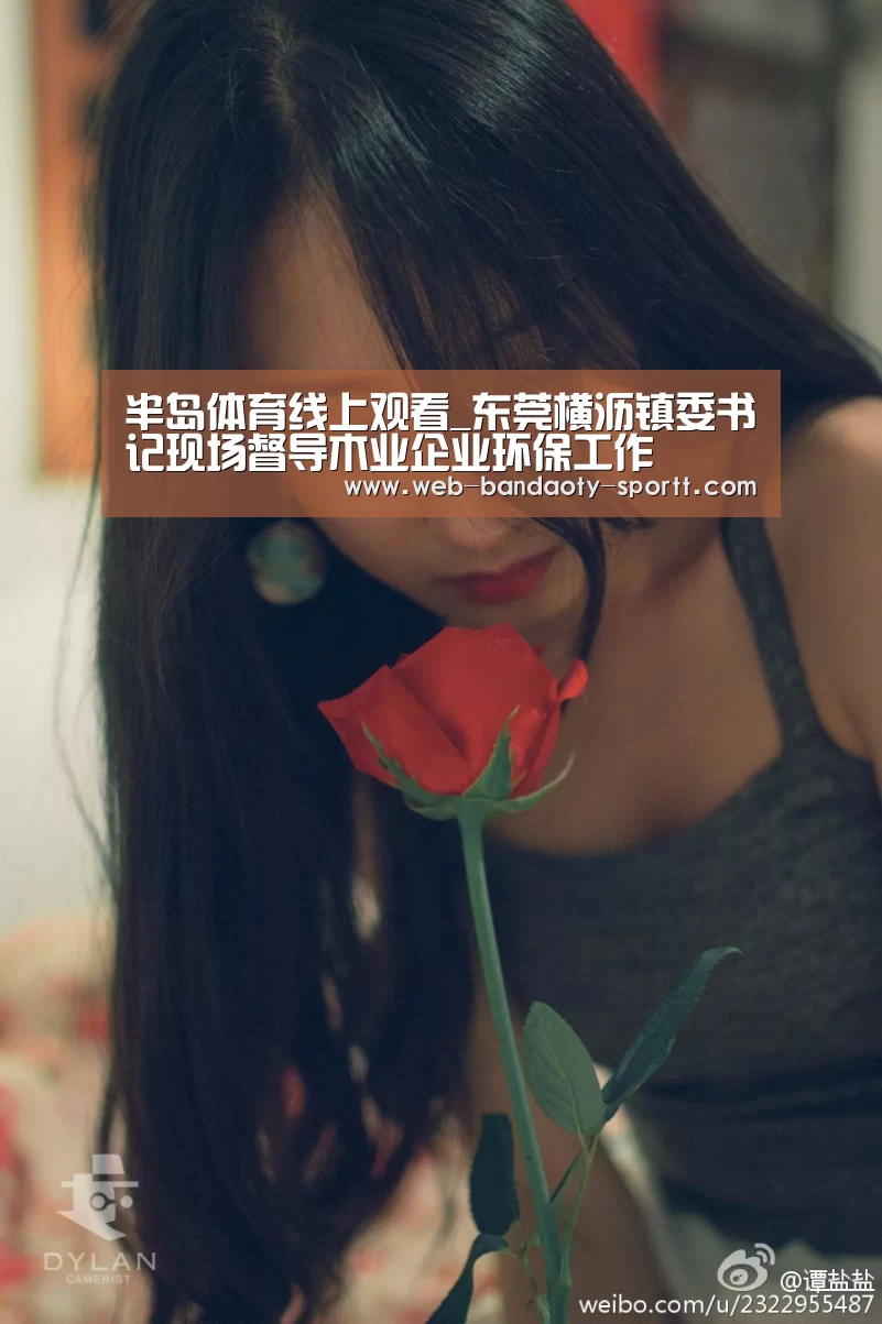半岛体育线上观看_东莞横沥镇委书记现场督导木业企业环保工作