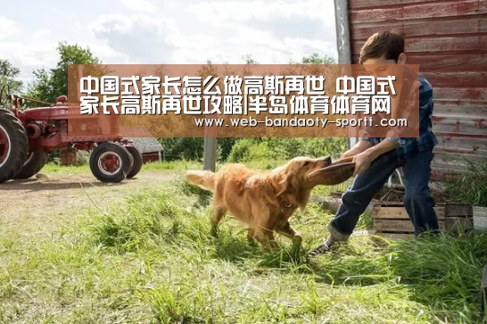 中国式家长怎么做高斯再世 中国式家长高斯再世攻略|半岛体育体育网