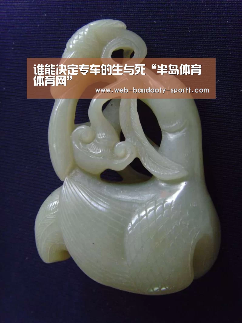 谁能决定专车的生与死“半岛体育体育网”