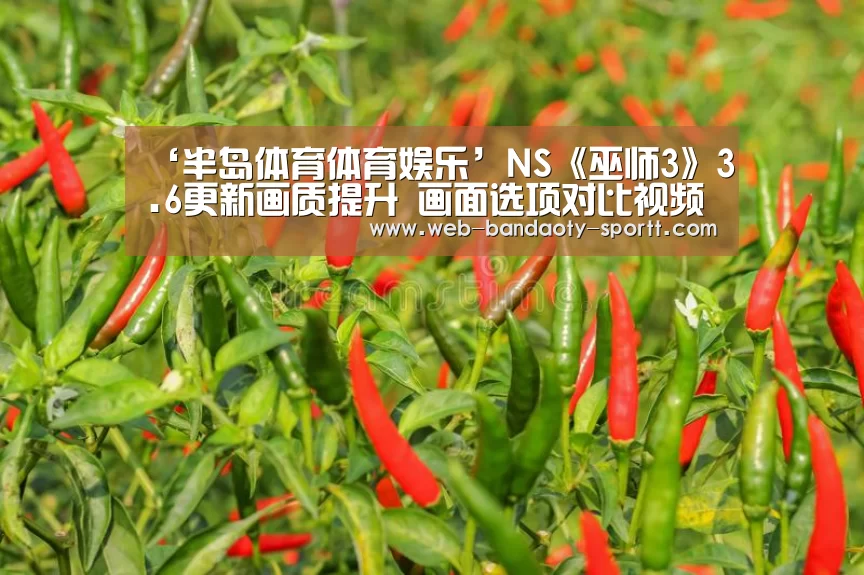 ‘半岛体育体育娱乐’NS《巫师3》3.6更新画质提升 画面选项对比视频(图3) 半岛体育体育娱乐