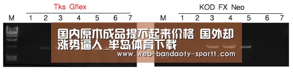 国内原木成品提不起来价格 国外却涨势逼人_半岛体育下载